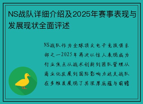 NS战队详细介绍及2025年赛事表现与发展现状全面评述