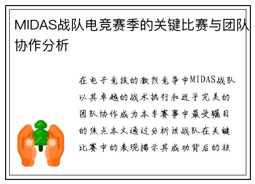 MIDAS战队电竞赛季的关键比赛与团队协作分析